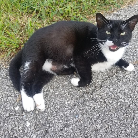 Meet your Posher, Jessica - Picture 3 of 6